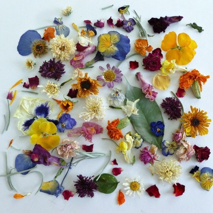 suché květiny sami dělají krásné nápady deko