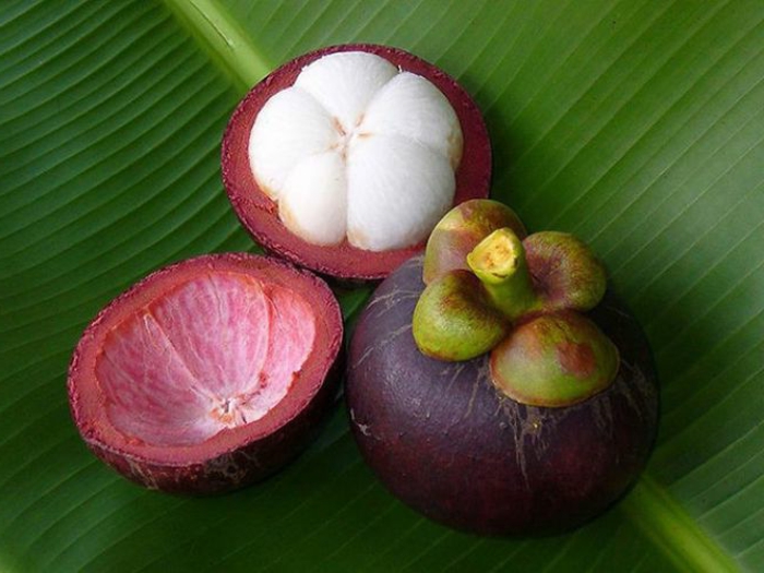 tropisk frugt mangostin skræl frugt