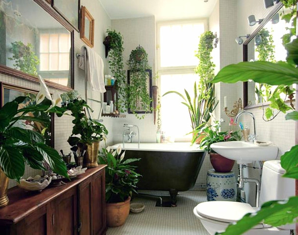 atogrąžų vonios kambarys sukuria žalias patalpų augalus