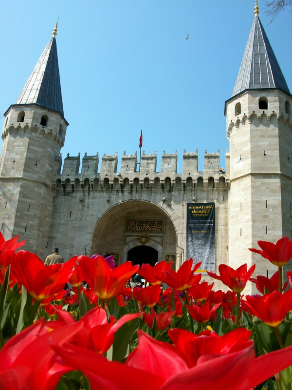 tulpen afbeeldingen Turkije emirgan istnabul festival