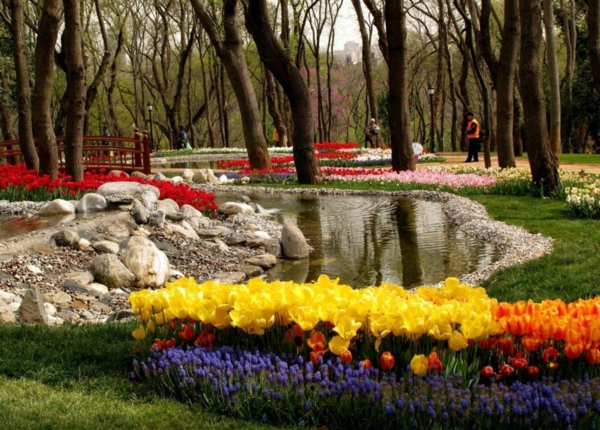 tulipaner billeder kalkun emirgan park forår