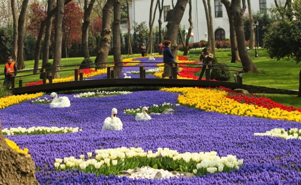 tulpen afbeeldingen Turkije emirgan park istanbul swans rivierbrug
