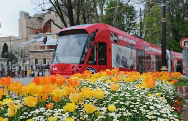 tulpės nuotraukos turkey istanbul city festival
