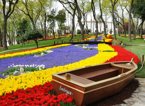 tulips pictures meadow boat emirgan park istanbul