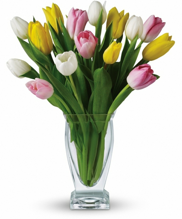 Įvairių spalvų vazos tulpės