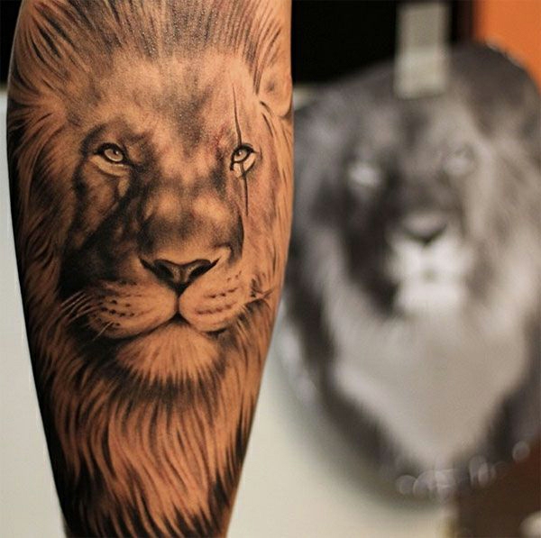 forearm tattoo templates lion power