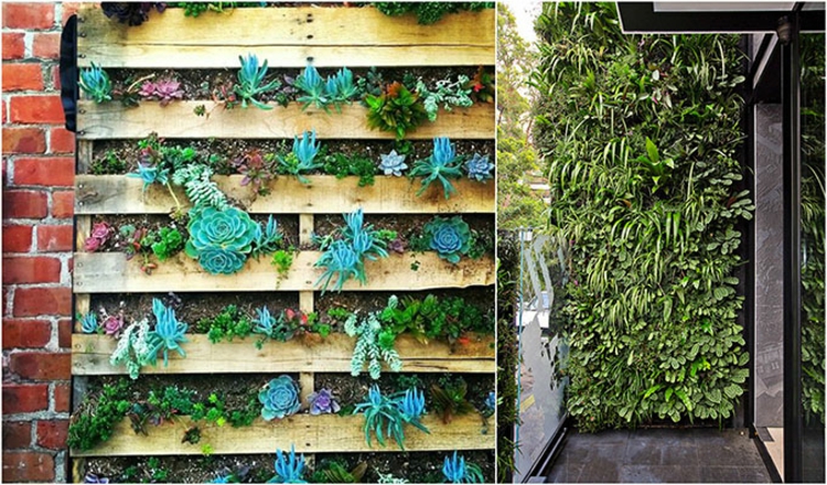 垂直花园本身使指令垂直绿化