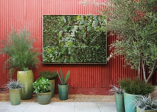 垂直的花园框架框架墙植物群grubb花园