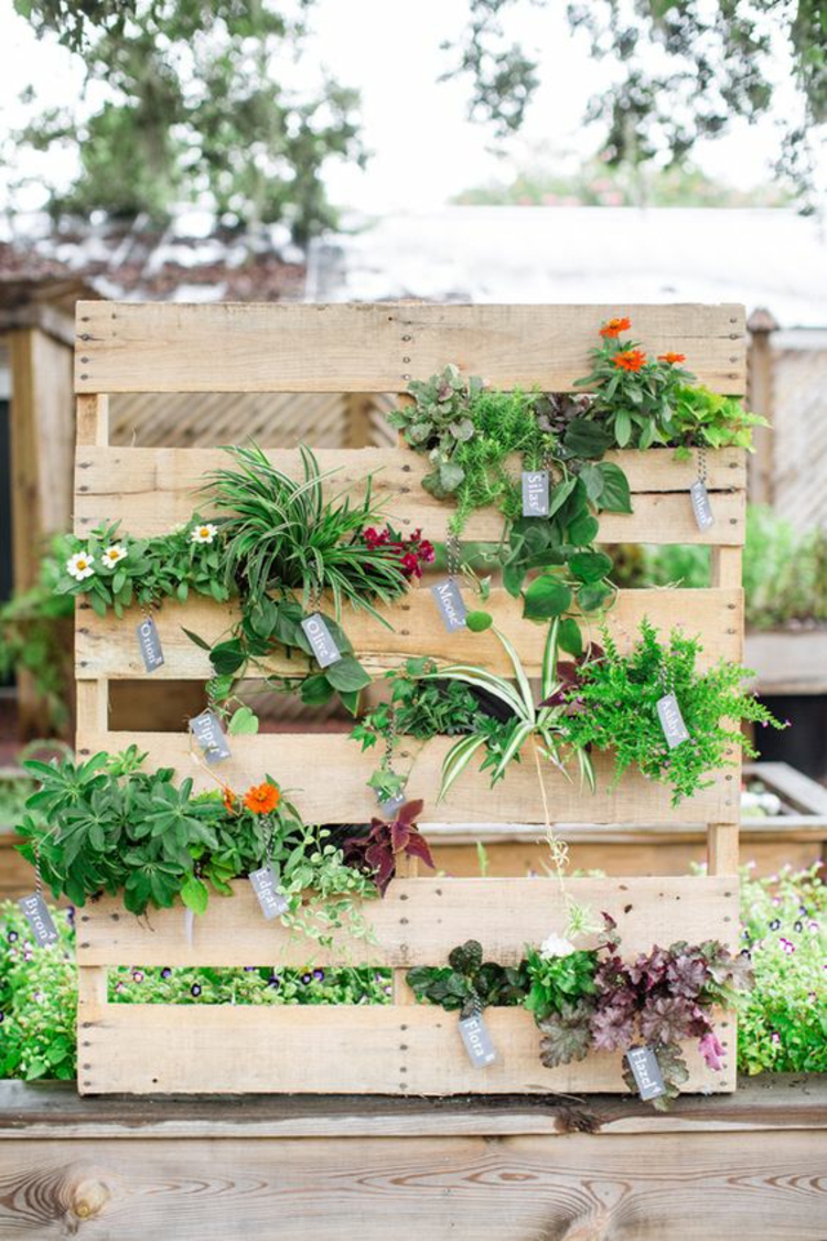垂直花园教学DIY项目europallets家具垂直绿化