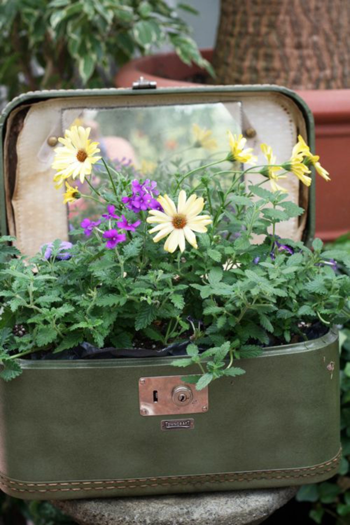 реколта деко градина възраст куфар растителна контейнер удобен