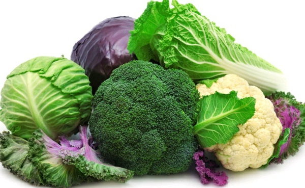 Vitamínový stůl zelené potraviny vitamín k