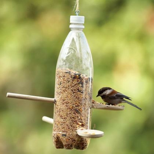 בית ציפור מזון עצמו לבנות בקבוק פלסטיק