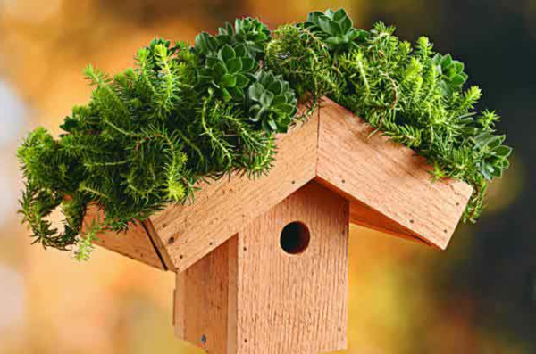bird house build wood environmentally friendly roof garden