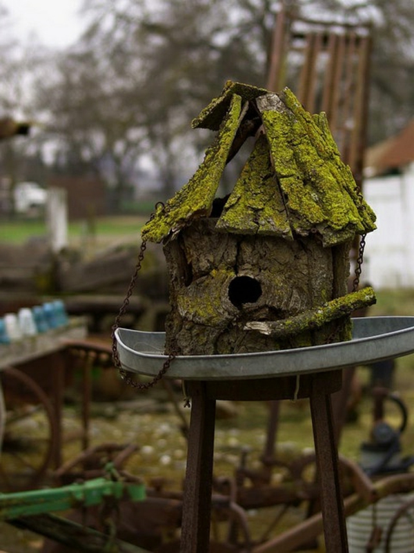 birdhouse construire du bois écologique sombre