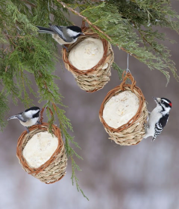 בית ציפורים לבנות עץ ידידותי לסביבה להאכיל