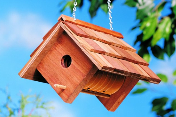 bright colors environment hanging birdhouses build themselves