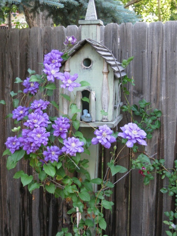 oiseau maison construire bois eco friendly fleurs violettes