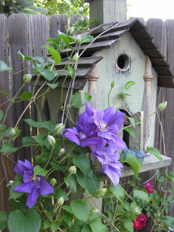 bird house build wood environmentally friendly purple