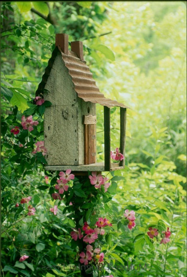 ציפור בית לבנות עץ ידידותי לסביבה טבע