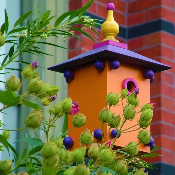 birdhouse atsparus statybinis medis ekologiškas oranžinis violetinis