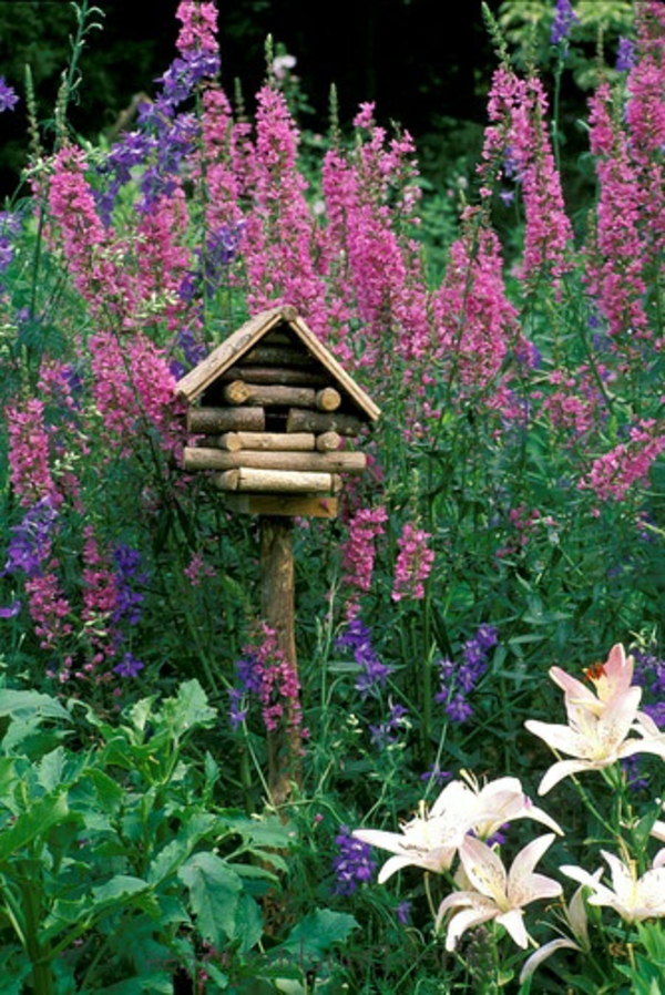 birdhouses לבנות עץ משלהם צמחים ידידותיים לסביבה