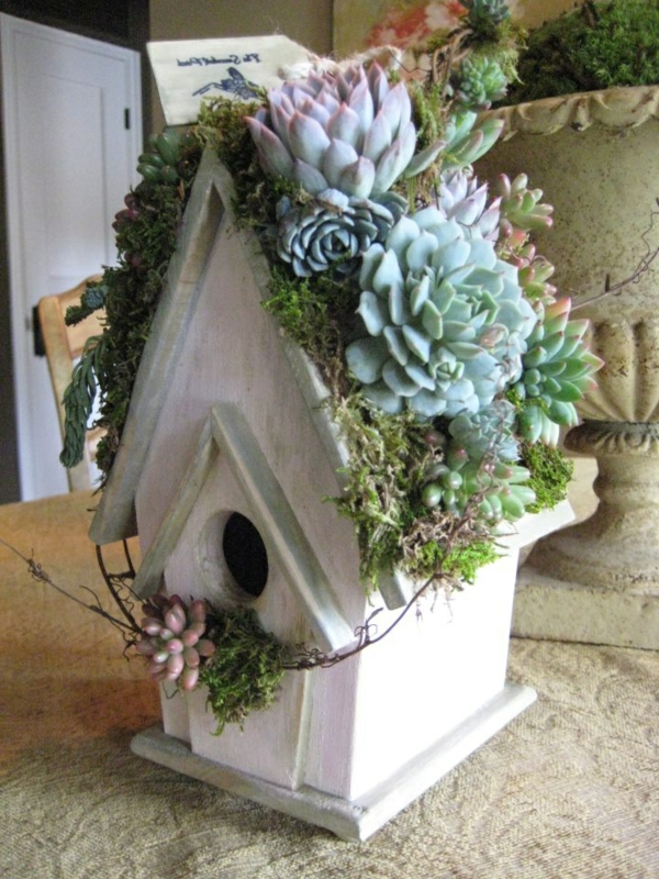 bird house-own-build-wooden-environmentally-succulent