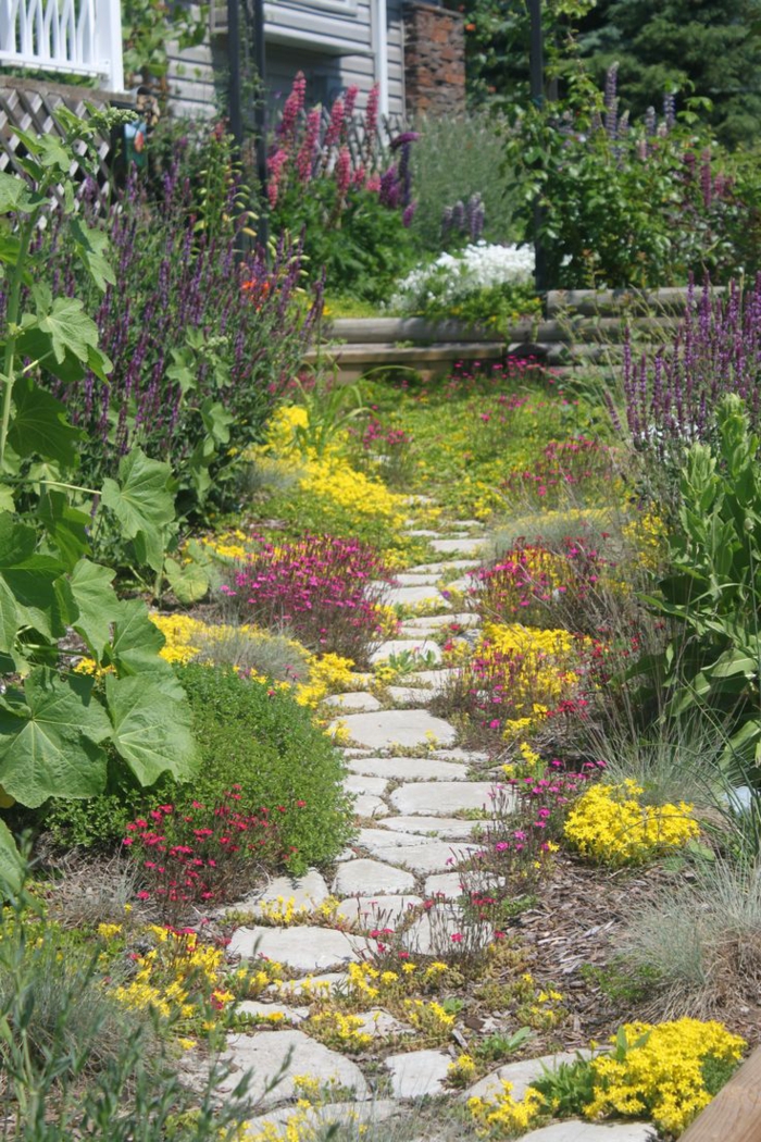 puutarhakasvit puutarhan reitillä laatat puutarha muoto ideoita