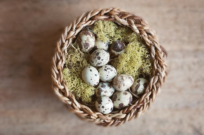 huevos de codorniz con musgo en cesta tejida