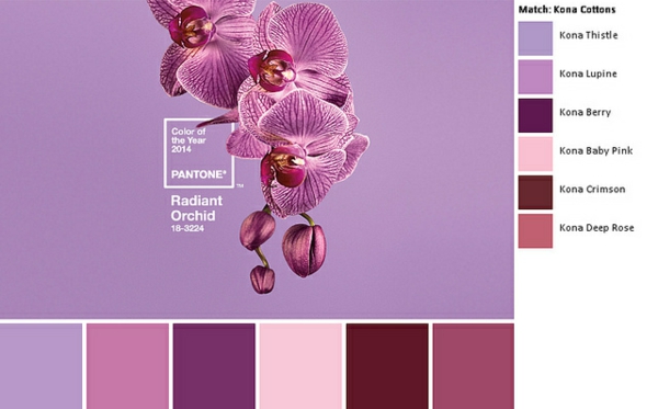 vopsea de perete boabe tendință culoare pantone culoare orhidee radiante violet nuanțe