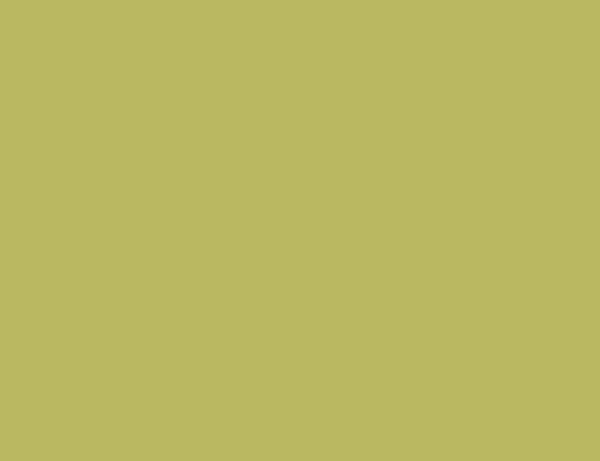 wall paint olive green walls paint benjamin moore martini olive