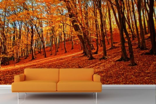 wall decoration wallpaper forest autumn