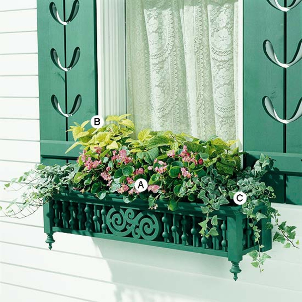 Ideas for Window Planter Wax Begonia