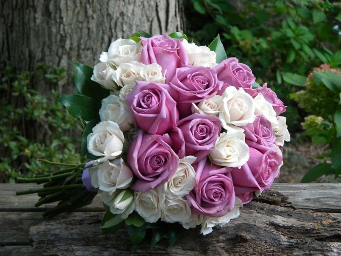 white and lavender roses