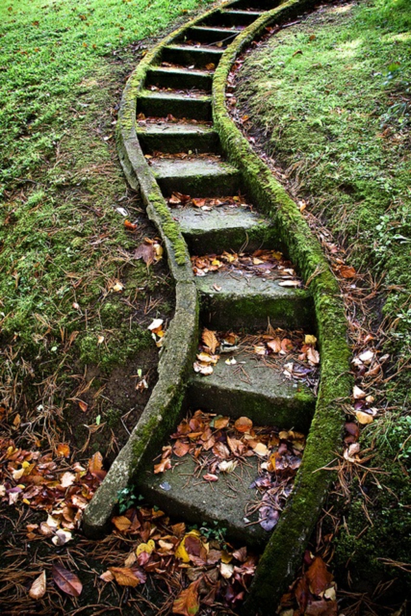 σκάλες σκάλες ιρλανδική γρασίδι