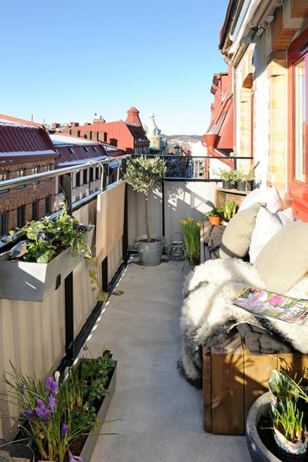 консерватория настройка градинарство снимки балкон растения мебели