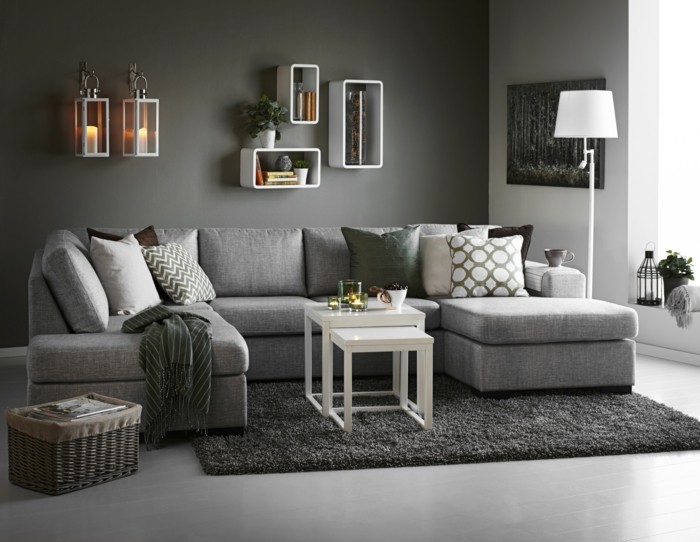 Sala de estar sala de estar con estilo pintura de la pared gris y alfombra gris