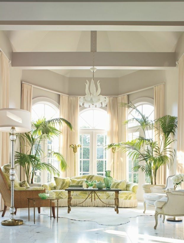 客厅的想法房间棕榈树图片盆栽植物