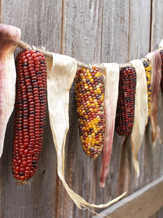 frumos decor de toamnă corncob garland