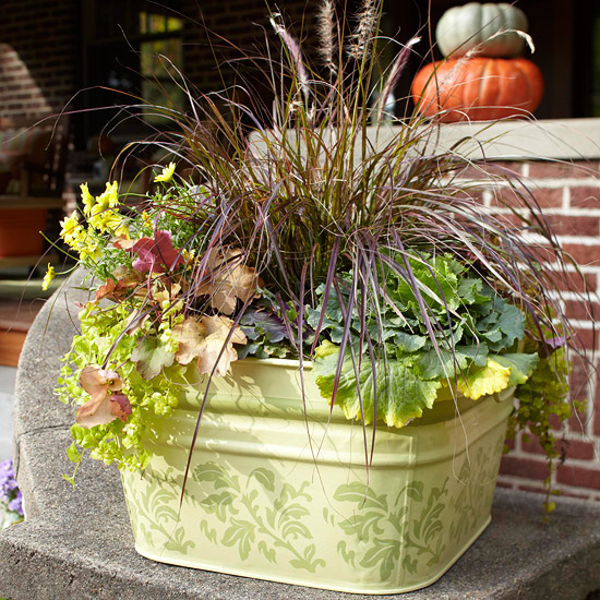 在金属容器的美好的秋天装饰植物安排