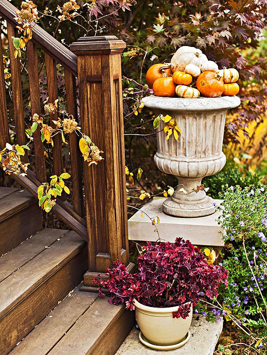 美丽的秋天装饰健壮的木栏杆和迷你南瓜