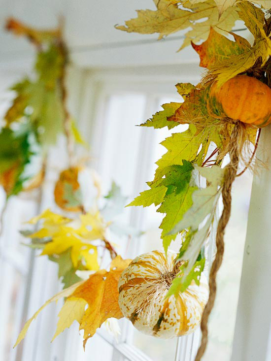 美丽的秋季装饰葡萄和迷你葫芦花环