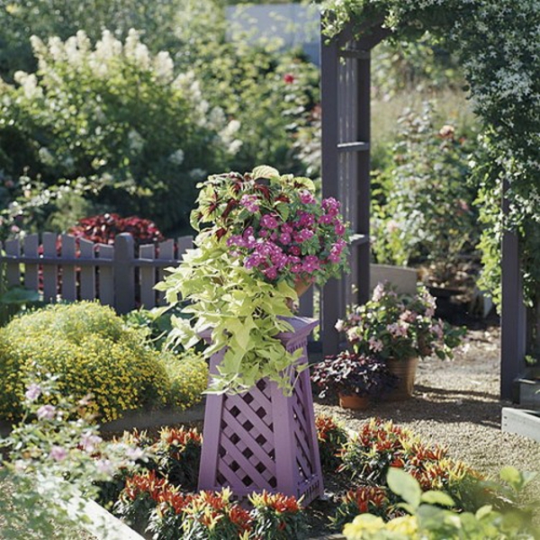 прекрасен градински орнамент лилави цветя