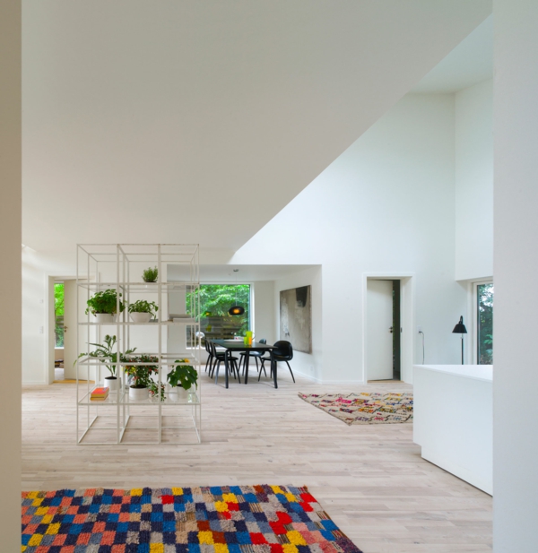 kambariniai augalai nustato atvirą planą, kuriame gyvena spalvingas kilimas