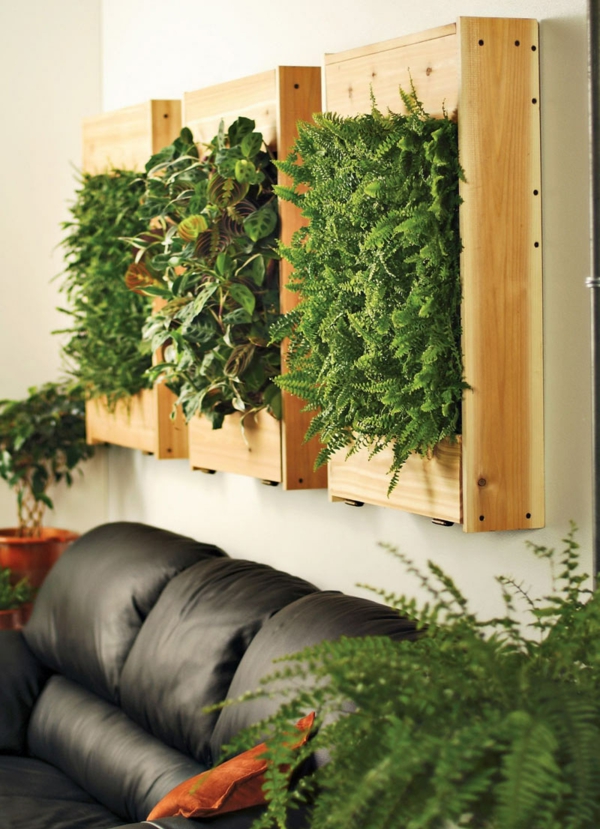 Vidiniai augalai nustato juoda odinė sofa svetainė