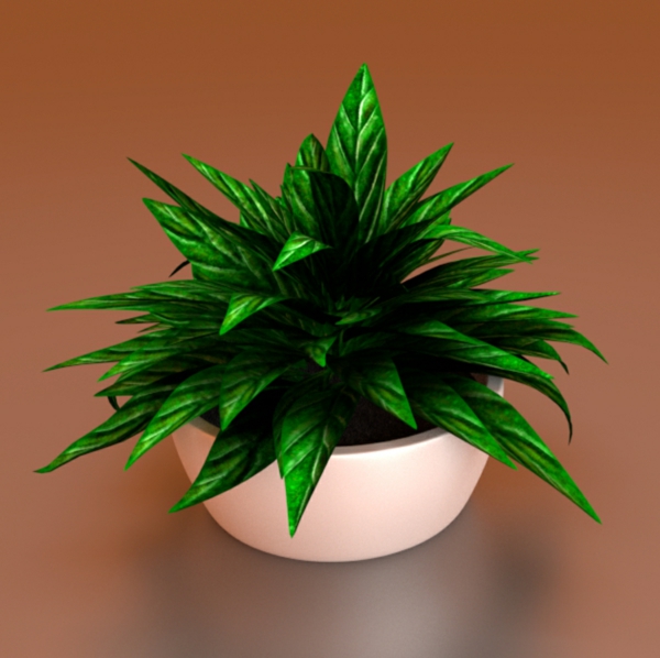 indoor plants that need little light virtually