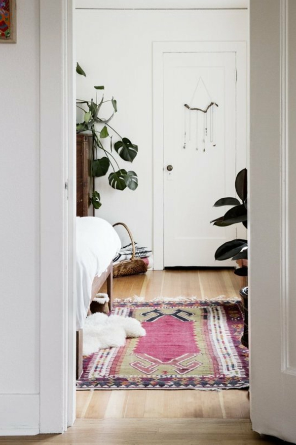 kambariniai augalai spalvoti kilimai gražūs deko idėjos