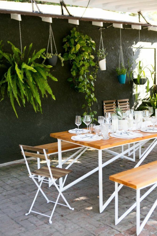 房子植物挂餐桌用餐区设计盆栽墙装饰