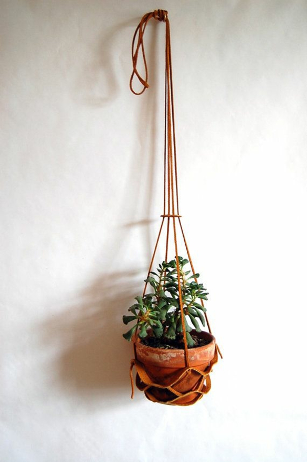 室内植物挂盆栽植物wabddeko的想法