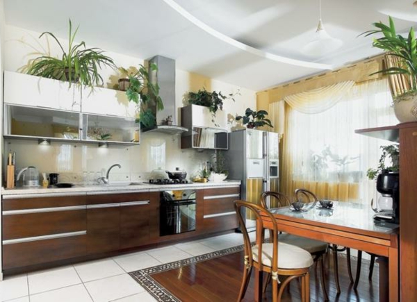 kambariniai augalai virtuvė pietų stalas grindų plytelės