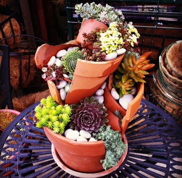 Plantes d'intérieur créatives de jardinage Plantes en pot cassées de succulentes d'argile